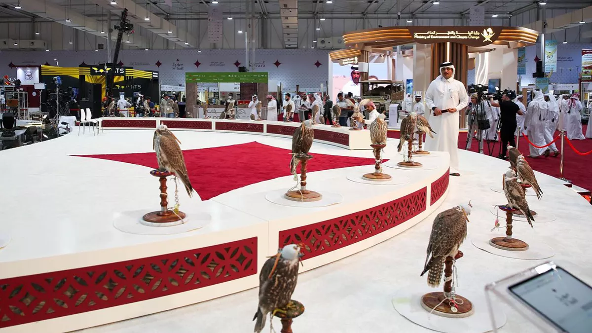 Seventh edition of Katara International Hunting and Falcon Exhibition- S’hail commenced on September 5 