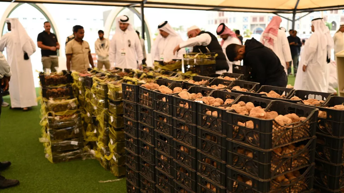 First edition of the Souq Waqif Truffle Exhibition and Auction has sold 70 tonnes of truffles so far